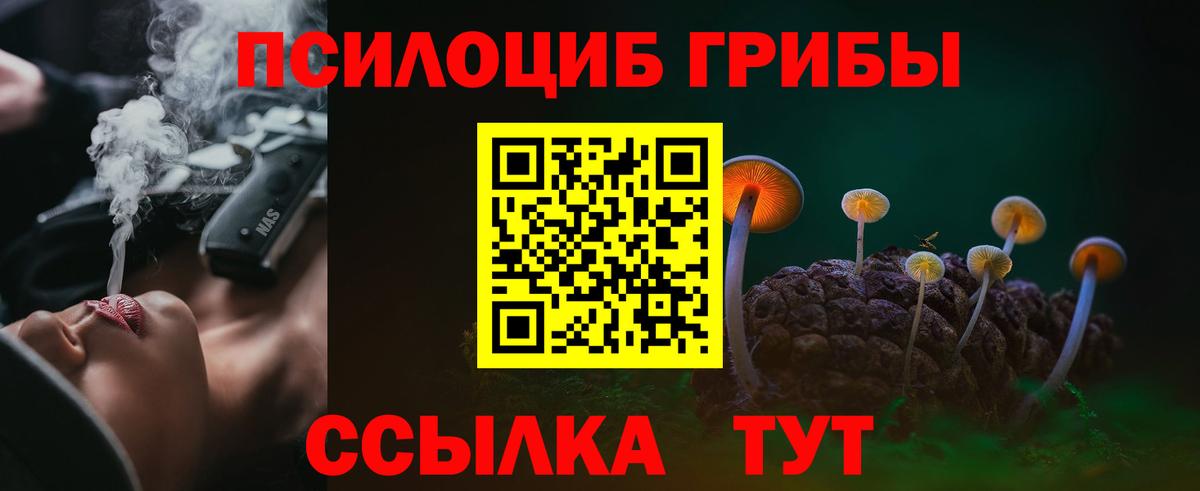 Псилоцибиновые грибы мицелий Канаш